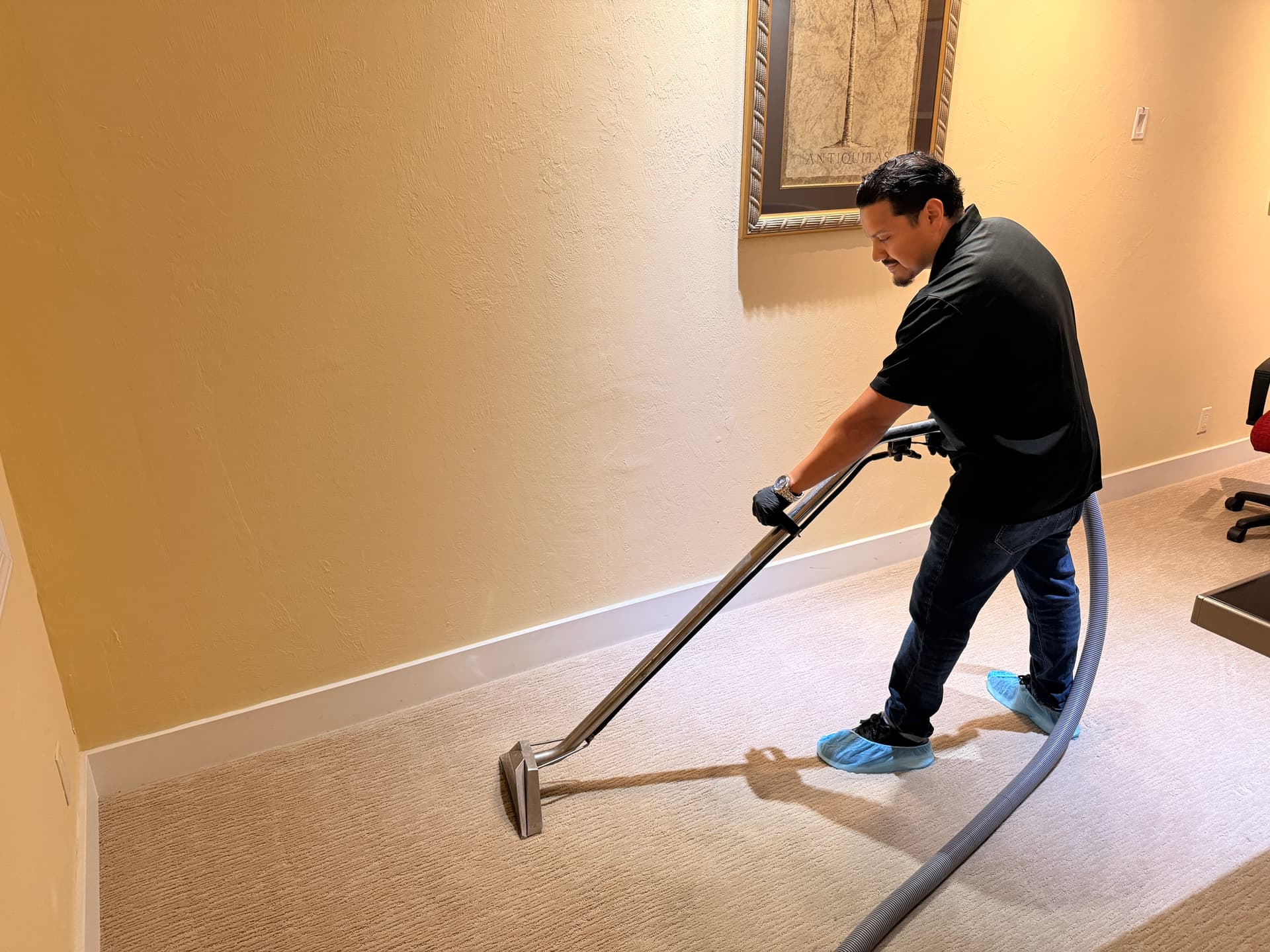 Carpet Cleaning