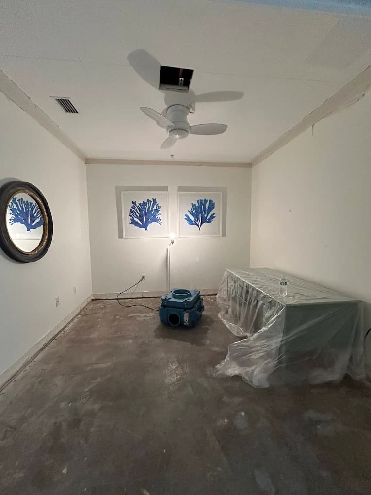DryZone water damage restoration project